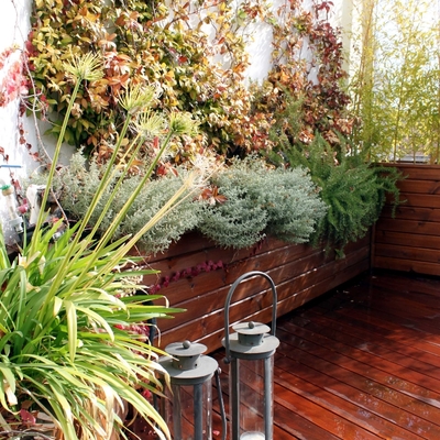 Diseño de jardín en ático. Jardín urbano. Madrid.