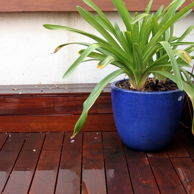 Diseño de jardín en ático. Jardín urbano. Madrid.