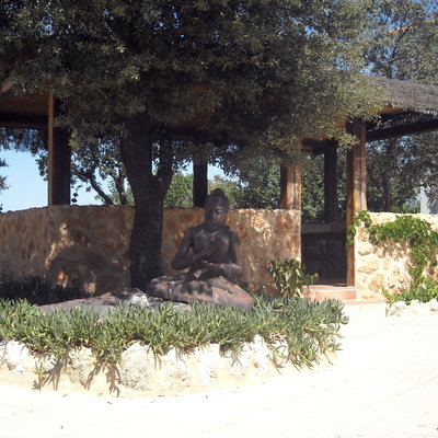 diseño y paisajismo