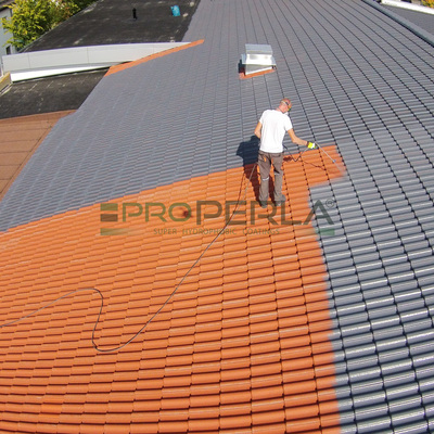 Pintores profesionales de tejados