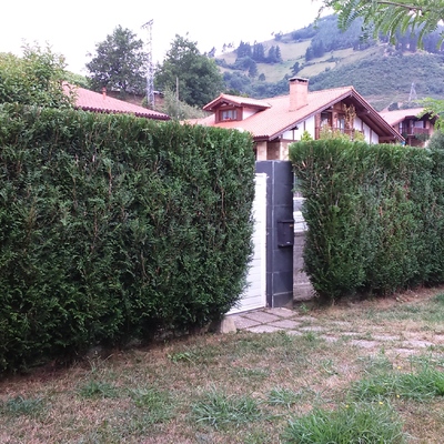 Jardin recien trabajado