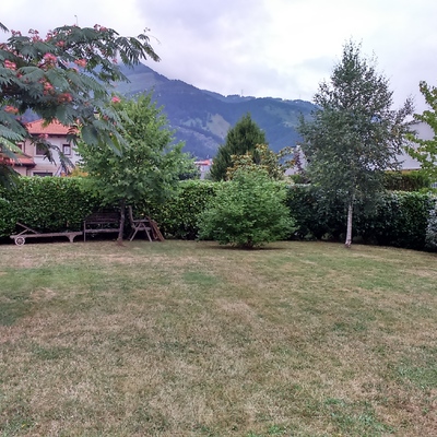 Jardin acondicionado