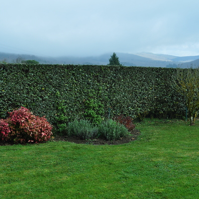 Decoración exterior