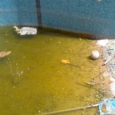 limpieza de piscina y jardin comunitaria