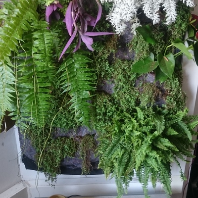 Cuadro vivo interior vivienda particular - Palma.