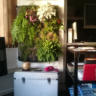 Cuadro vivo interior vivienda particular - Palma.