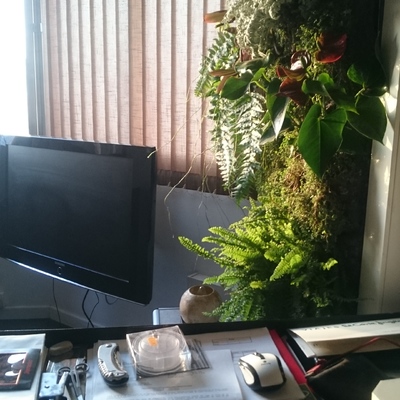 Cuadro vivo interior vivienda particular - Palma.