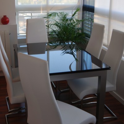 Salón piso Mirasierra. (2008)