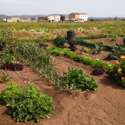 Integración de huertos en jardín - Palma.