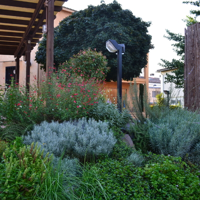 Rocalla de hierbas aromáticas y culinarias