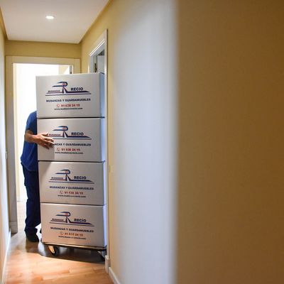 Empresa de mudanzas en Majadahonda