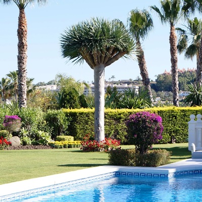 MANTENIMIENTO  JARDIN 