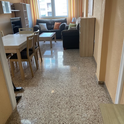 Vitrificados domesticos
