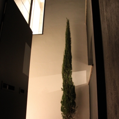 edificación e interiorismo