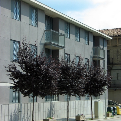 Edificio viviendas VPO, Campdevànol (Girona)