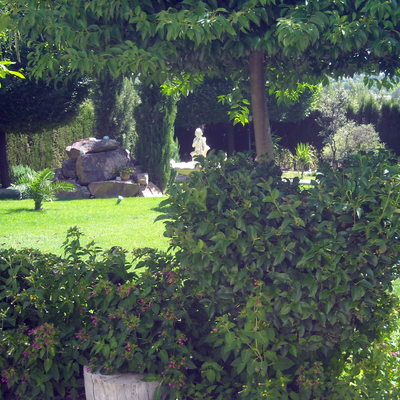 el arte de la poda topiaria