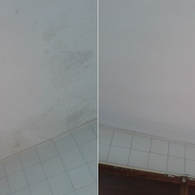 Eliminación de daños por humedad