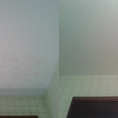 Eliminación de daños por humedad