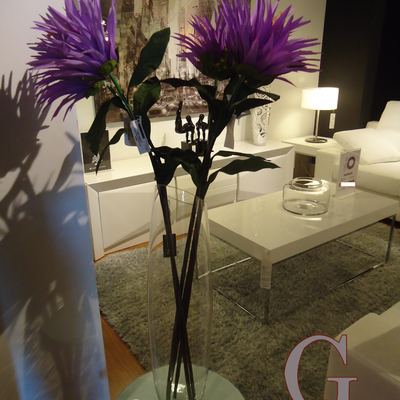 Estancias y Complementos