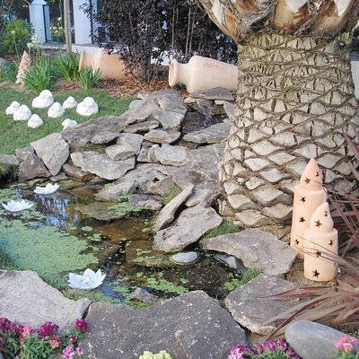 ESTANQUE NATURAL Y DECORACION