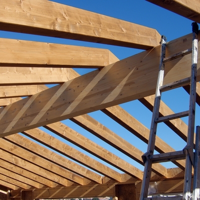 Estructura de tejado 