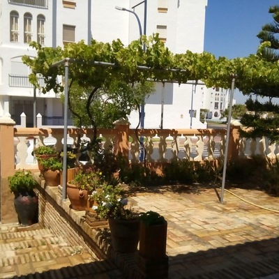 estructura de un emparrado.