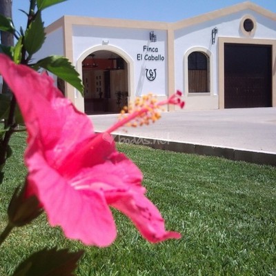 fachada de nave de celebraciones