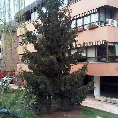 Fachada rehabilitada