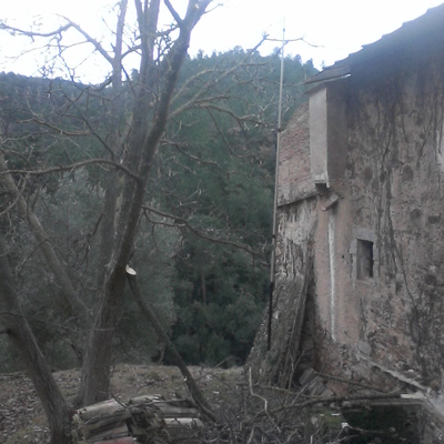 Poda de las ramas de un nogal que tocan la fachada de la vivienda.