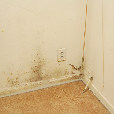 HUMEDAD POR CAPILARIDAD