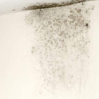 HUMEDAD POR CONDENSACION