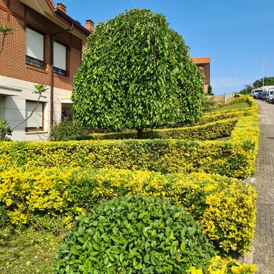 Mantenimuiento de Ubanizaciones privadas