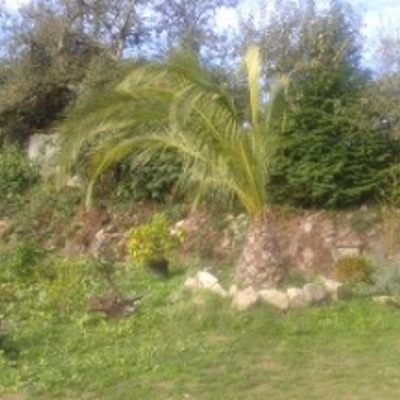 MUESTRA DE ALGUNOS DE NUESTROS TRABAJOS