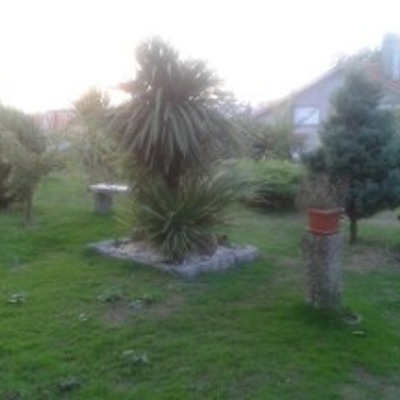 MUESTRA DE ALGUNOS DE NUESTROS TRABAJOS