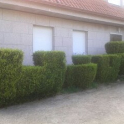 MUESTRA DE ALGUNOS DE NUESTROS TRABAJOS