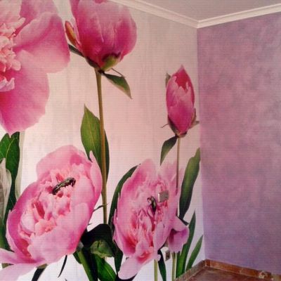 fotomural y sabulador soft rosa