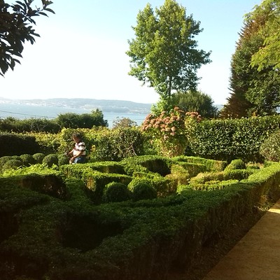 Manteniminento de jardin