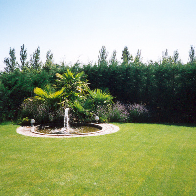 fuente y cesped