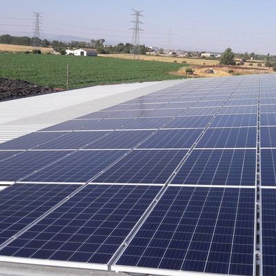 Placas solares en intalacion ganadera 5