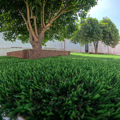 Renovación de jardín