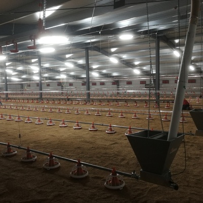 instalación eléctrica granjas