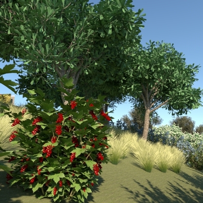 La materialización de un jardín en el Maresme