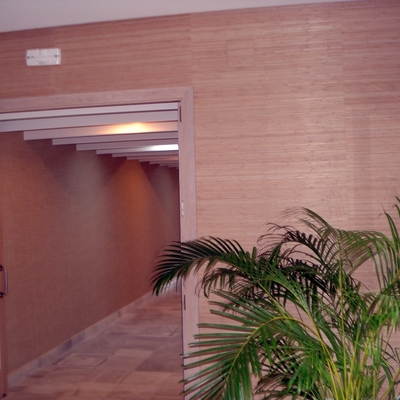 HALL ENTRADA EN PAPEL CHINO MADERA