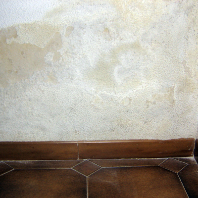 humedad por capilaridad