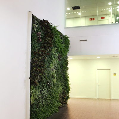 Clínica médica en Madrid