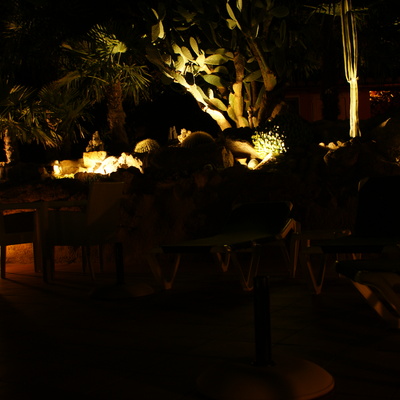 iluminación jardin de cactus