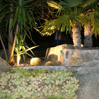 Iluminación Palmeras