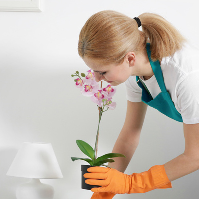 Limpieza de empresas