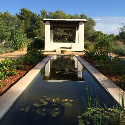 Jardines con plantas acuáticas 