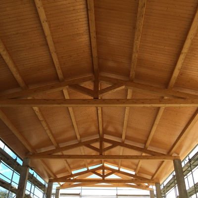 Estructura y cubierta de madera vista